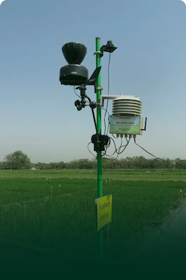 Automatic Weather Station (AWS)